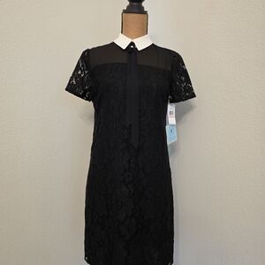 CeCe Black Lace Mini Dress with White Collar